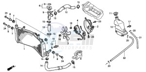 CBR600F drawing RADIATOR (CBR600FS/3S/T/3T/SET)