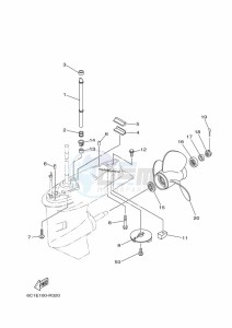 F50HETL drawing LOWER-CASING-x-DRIVE-2