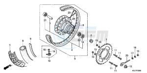 CRF100FD CRF100F Europe Direct - (ED) drawing REAR WHEEL