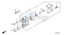 TRX500FEA Australia - (U / EC) drawing OIL PUMP