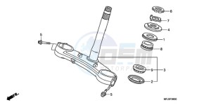 CBR600RR9 Europe Direct - (ED / MME) drawing STEERING STEM