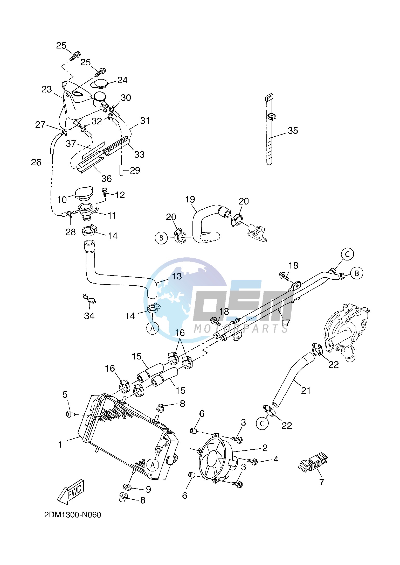 RADIATOR & HOSE