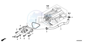 TRX500FPMC drawing WATER PUMP COVER