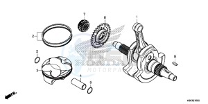 CRF250R Europe Direct - (ED) drawing CRANKSHAFT/PISTON