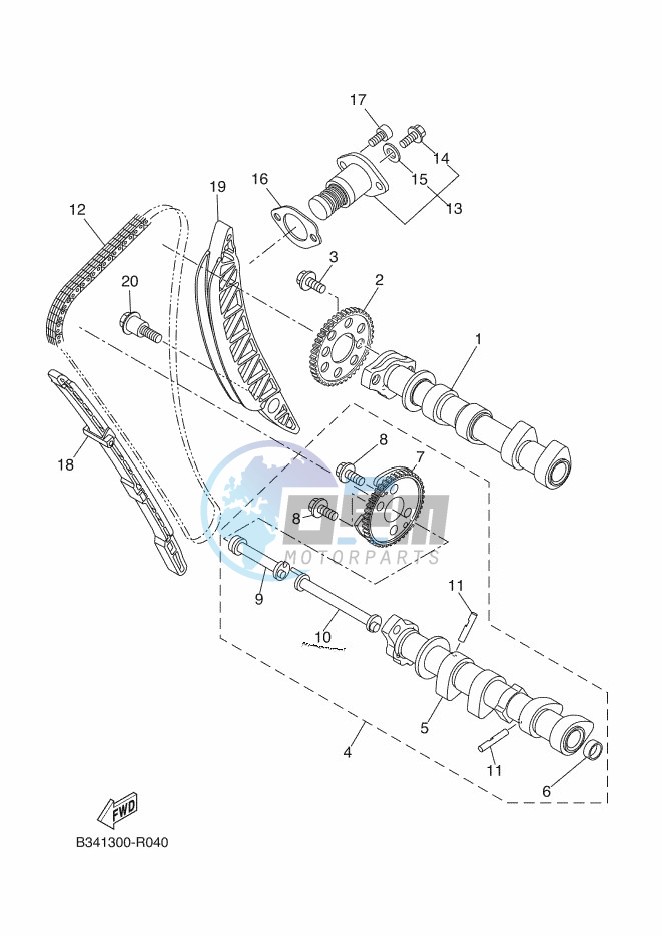 CAMSHAFT & CHAIN