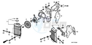 XL700V9 Europe Direct - (ED / SPC) drawing RADIATOR