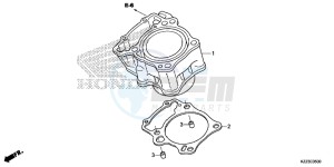 CRF250MF CRF250M UK - (E) drawing CYLINDER