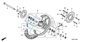 CRF150R9 Europe Direct - (ED / 2ED) drawing REAR WHEEL