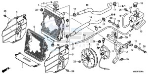 TRX500FMC ED drawing RADIATOR