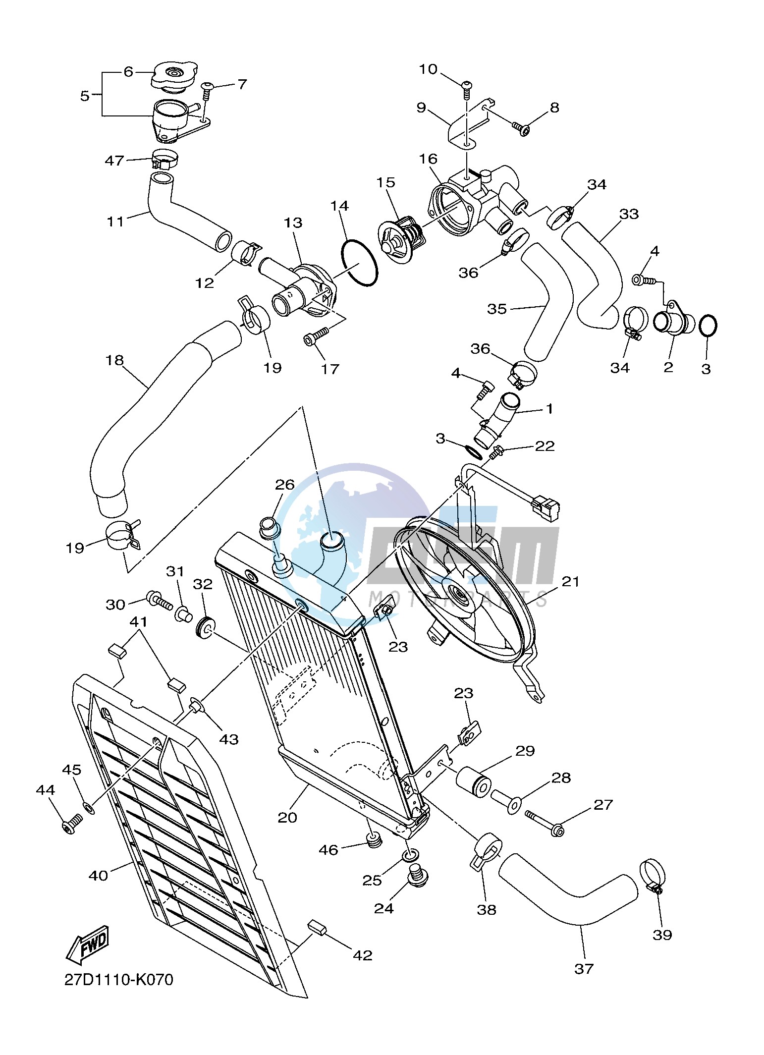 RADIATOR & HOSE