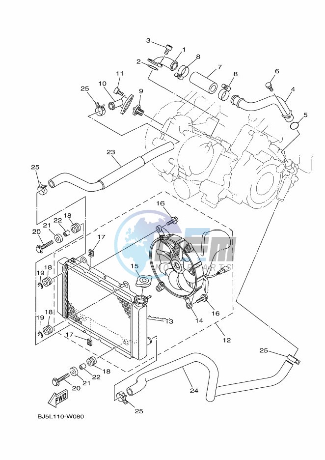 RADIATOR & HOSE