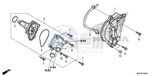 CBR1000RAH 2ED - (2ED) drawing WATER PUMP