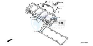 CBR1000RR9 Europe Direct - (ED / REP) drawing CYLINDER