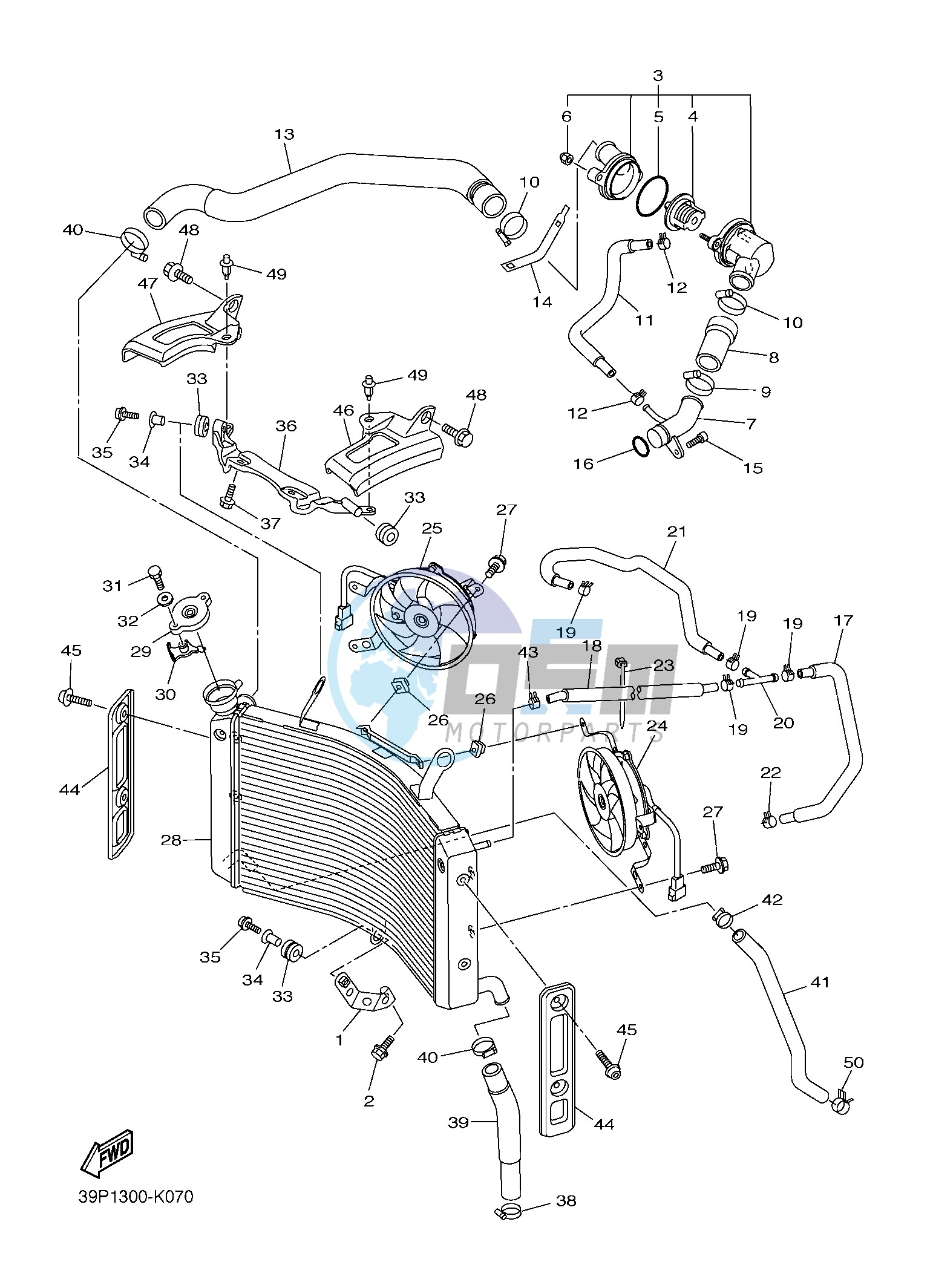 RADIATOR & HOSE