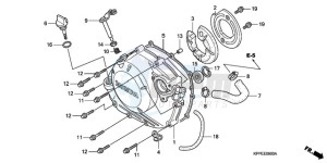 CBR125RW9 France - (F / CMF WH) drawing RIGHT CRANKCASE COVER