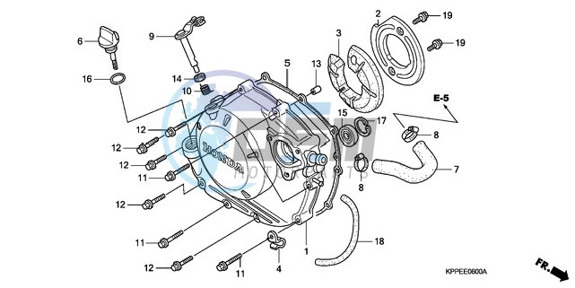 RIGHT CRANKCASE COVER