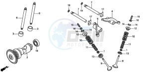 TRX250TE FOURTRAX ES drawing CAMSHAFT/VALVE