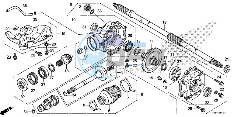 REAR FINAL GEAR