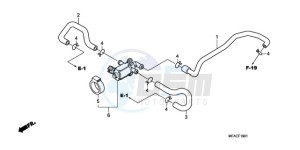 CBF1000AA France - (F / ABS CMF) drawing AIR INJECTION CONTROL VALVE