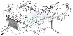 CBR125RW9 Europe Direct - (ED / WH) drawing RADIATOR (CBR125RW7/RW9/RWA)