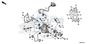 TRX500FA5F TRX500FA Europe Direct - (ED) drawing SUB TRANSMISSION COVER