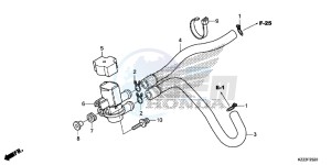 CRF250LF CRF250L E drawing AIR INJECTION SOLENOID VALVE