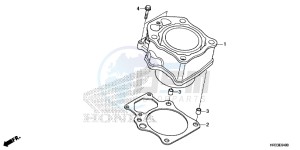 TRX420FM2E TRX420 Europe Direct - (ED) drawing CYLINDER