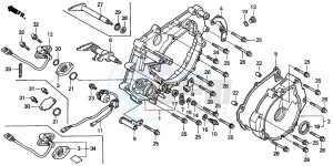 TRX350FM FOURTRAX 350 4X4ES drawing REAR CRANKCASE COVER