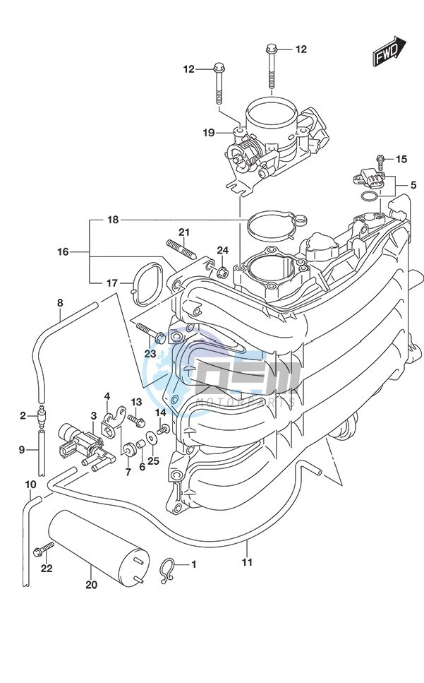 Intake Manifold/Throttle Body (Model: TG/ZG)