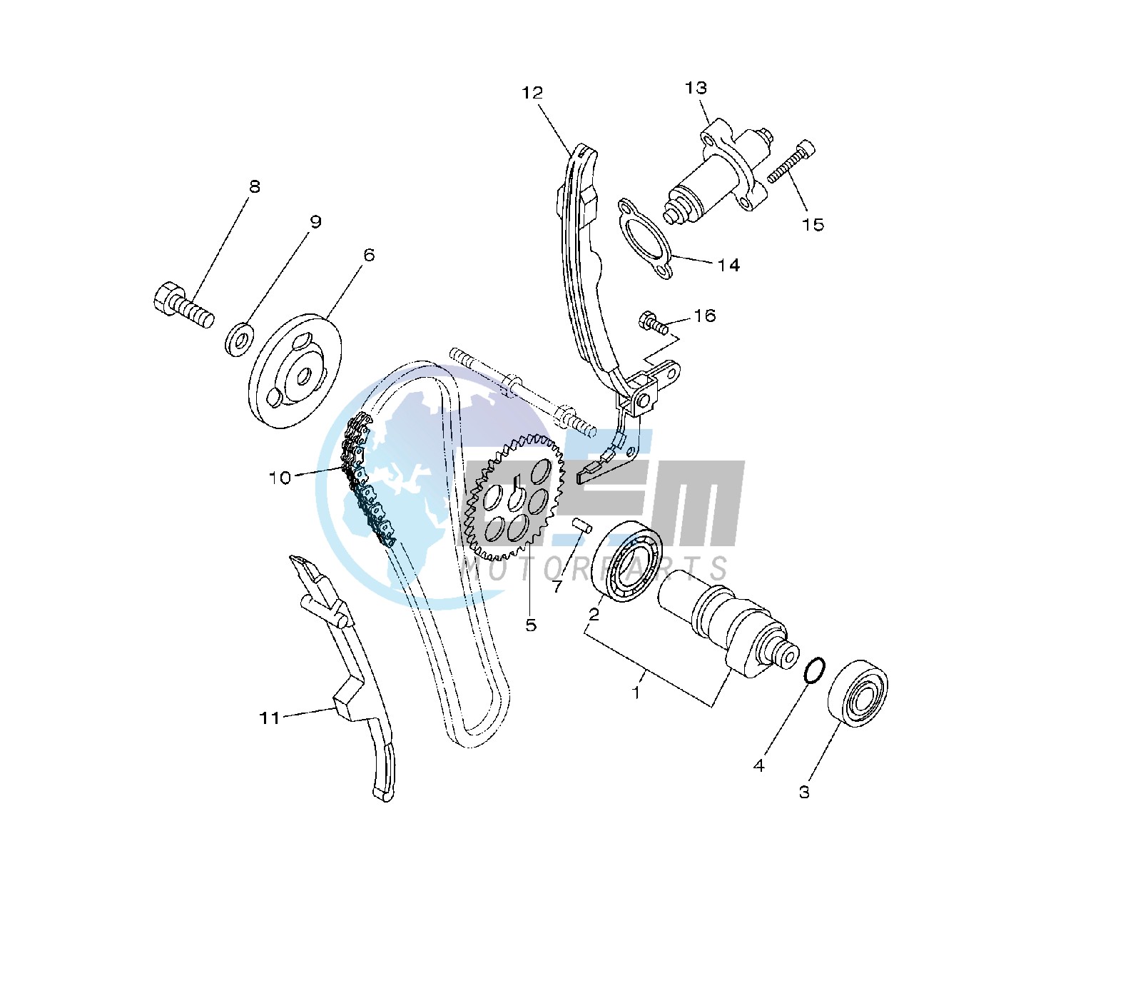 CAMSHAFT AND TIMING CHAIN