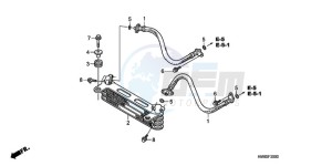 TRX250TMA ED drawing OIL COOLER