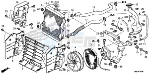 TRX500FM6F TRX500FM Australia - (U) drawing RADIATOR