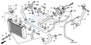 CBR125RWA France - (F / BLA CMF) drawing RADIATOR (CBR125RW7/RW9/RWA)