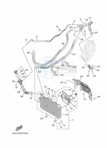 MWD300 TRICITY 300 (BED8) drawing RADIATOR & HOSE