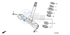 CBR600RRA BR - (BR) drawing STEERING STEM