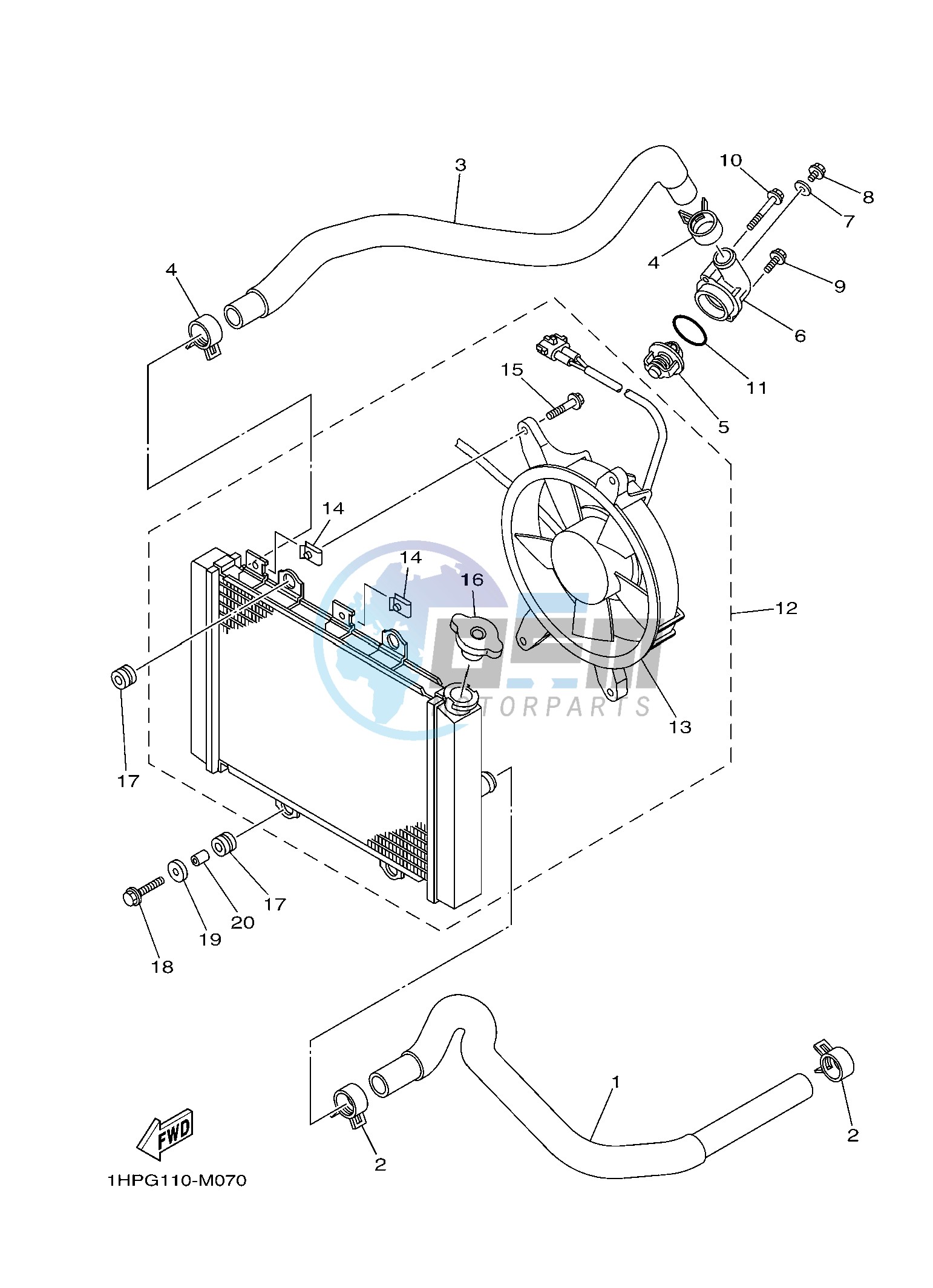 RADIATOR & HOSE