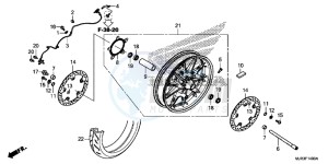 GL1800CF F6C ED drawing FRONT WHEEL