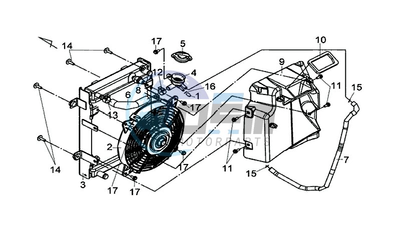 RADIATOR / HOSES