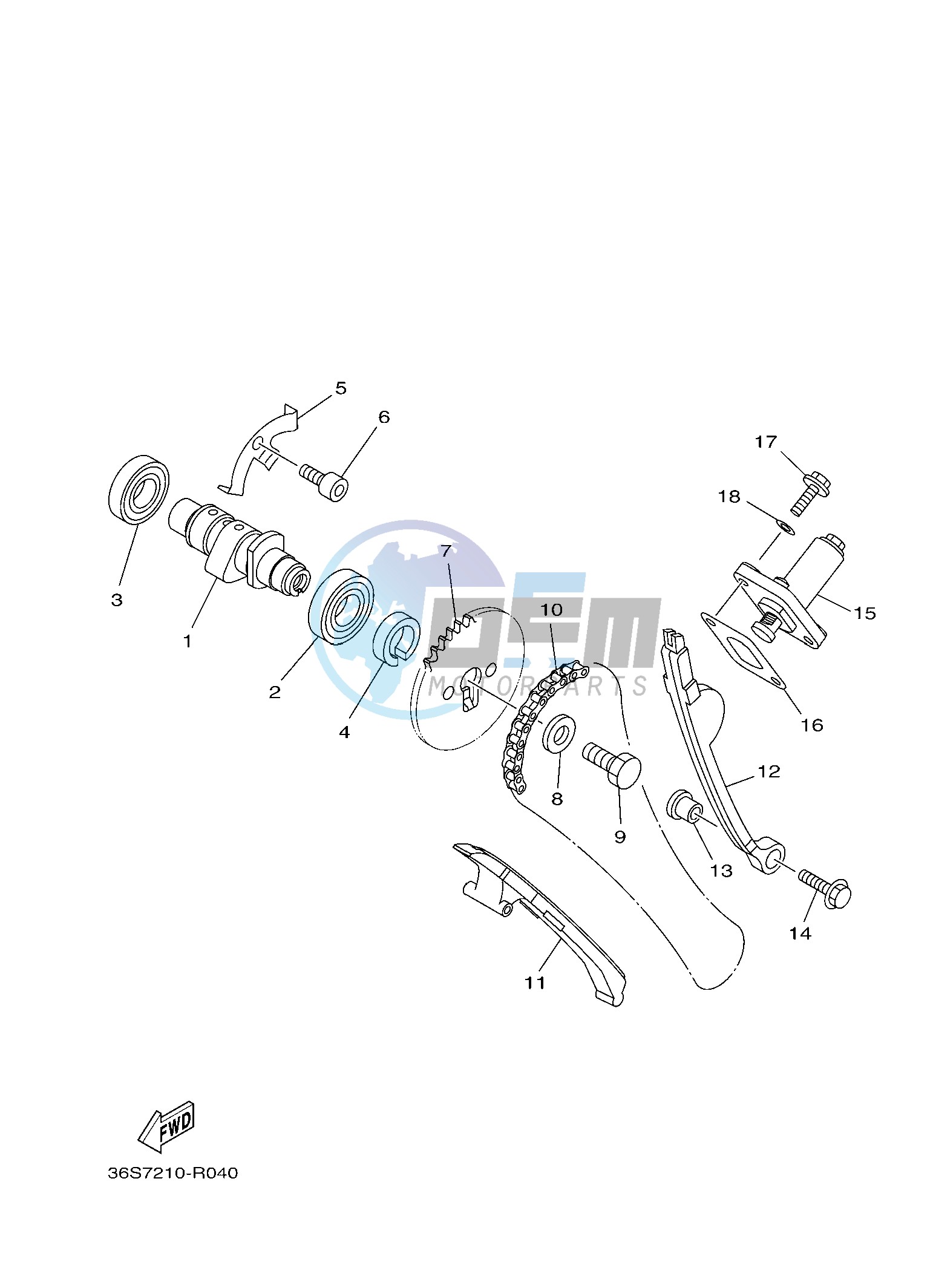 CAMSHAFT & CHAIN