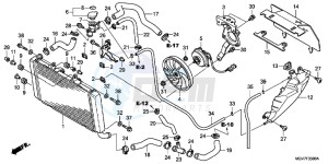 CBR600FAC drawing RADIATOR