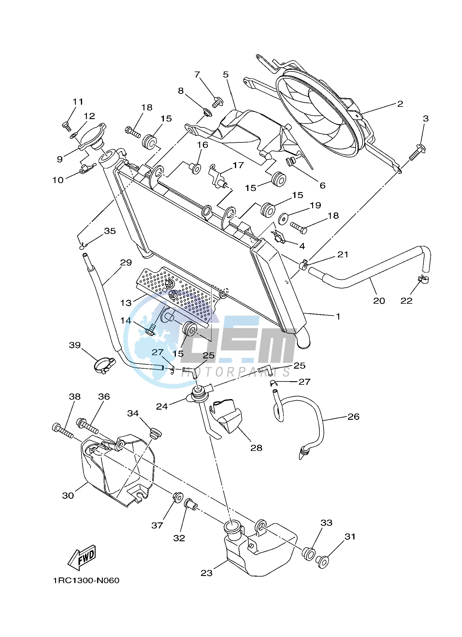 RADIATOR & HOSE