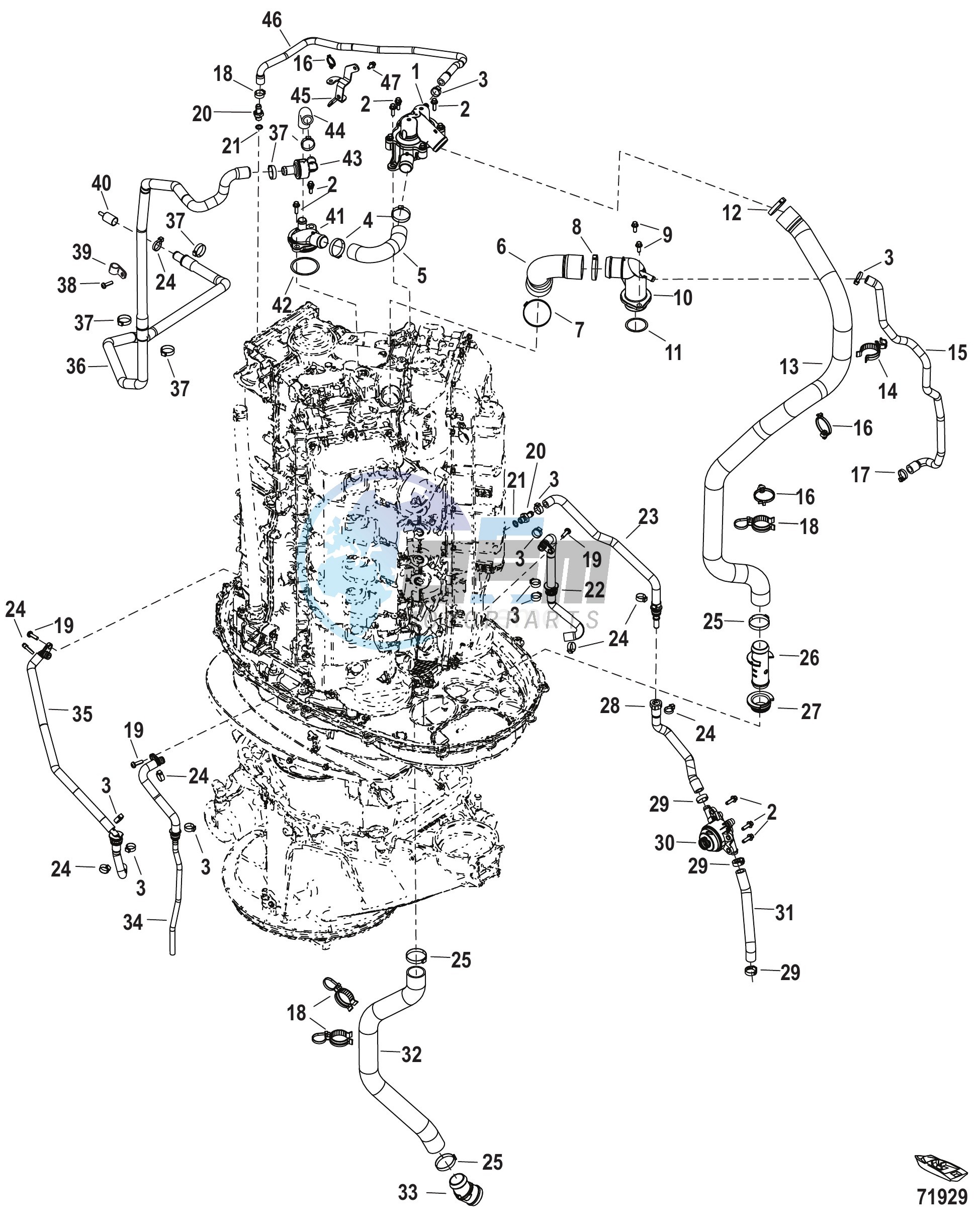 Cooling Hoses Serial 3B332191 and Below