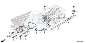 TRX500FE1F TRX500F Europe Direct - (ED) drawing WATER PUMP COVER