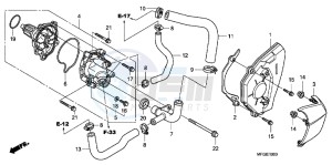 CB600FAB drawing WATER PUMP