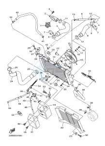 XJ6N 600 XJ6-N (NAKED) (20SS) drawing RADIATOR & HOSE