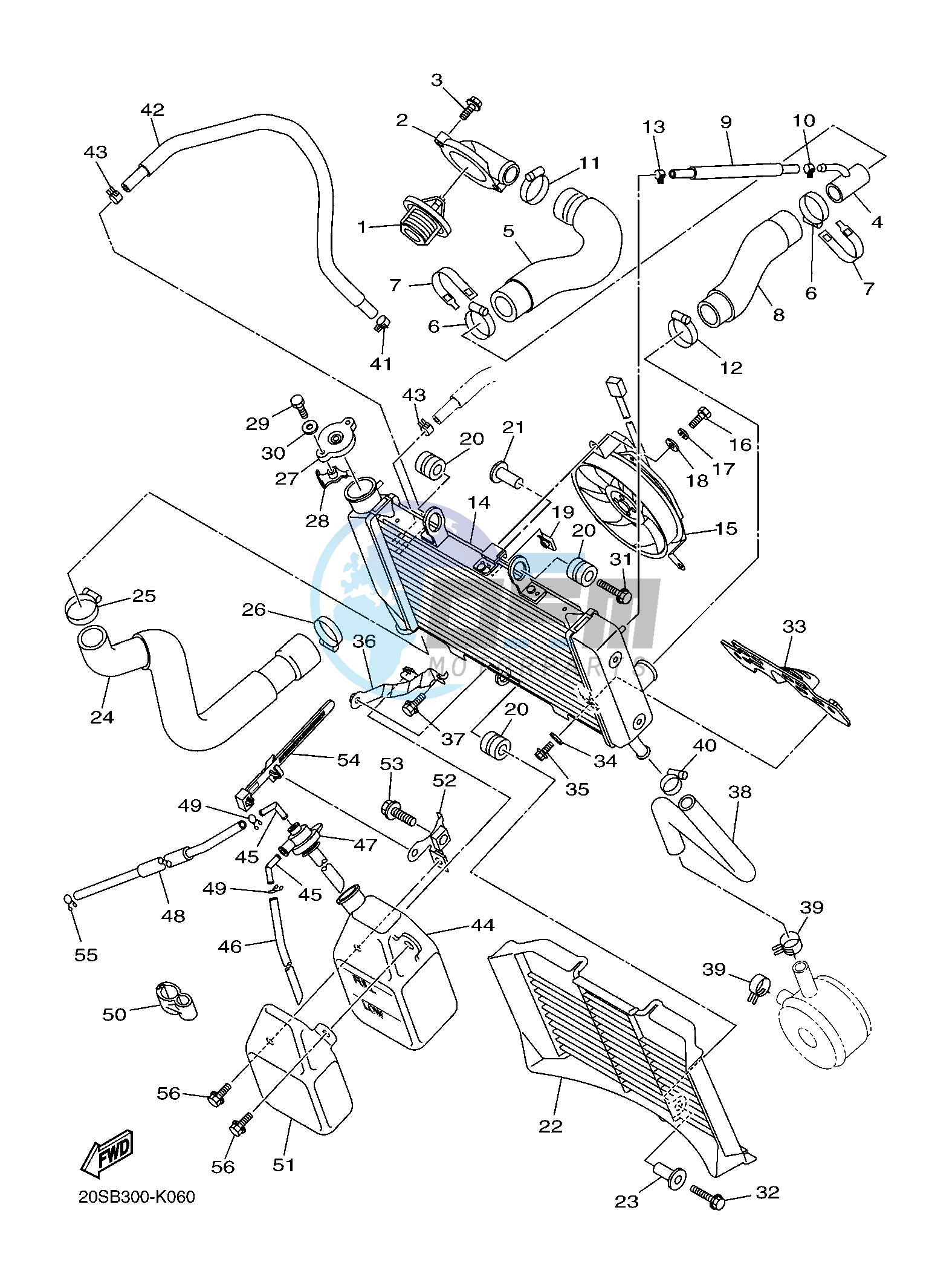 RADIATOR & HOSE