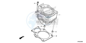 TRX420FPED TRX420 Europe Direct - (ED) drawing CYLINDER