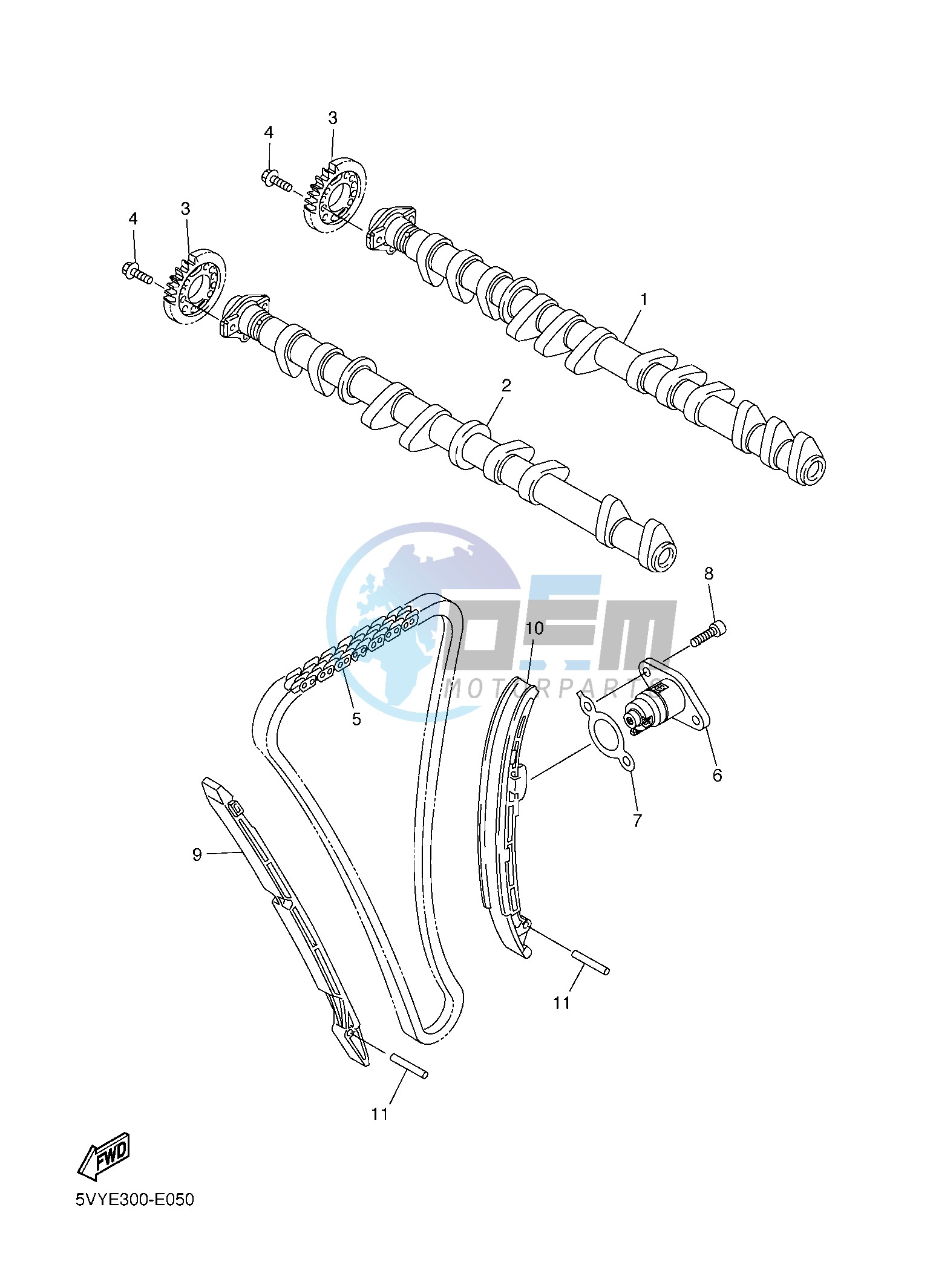 CAMSHAFT & CHAIN