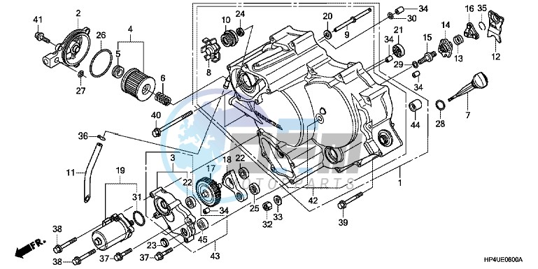 CAM CHAIN/TENSIONER