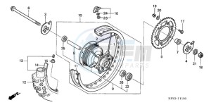 CRF230F9 Europe Direct - (ED / CMF) drawing REAR WHEEL